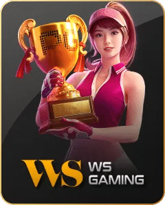 WS GAMING